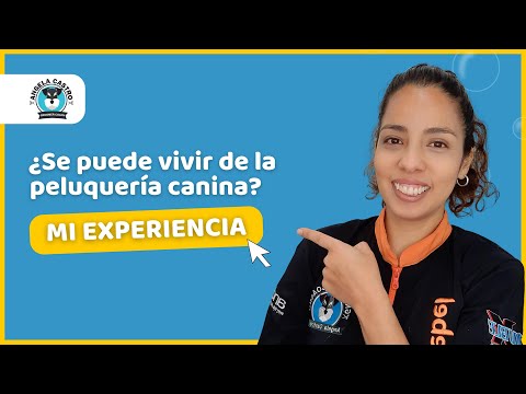 Video: Pros y contras de ser un peluquero de perros