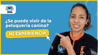 🔥 ¿Ser peluquero Canino es rentable? Mi experiencia by Angela Castro Groomer Coach 6,683 views 1 year ago 6 minutes, 46 seconds