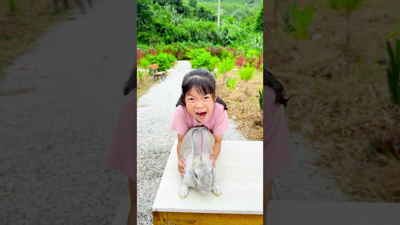 🐰🐠🐌🦖🤣Is this the funniest counting video you've ever seen? #happy #funny #cute