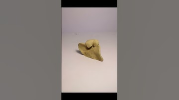 clay animation #stopmotion #animation #animations #shorts #clay