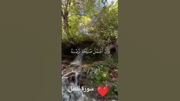 سورة النمل #يارب