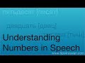 Understanding Numbers in Speech
