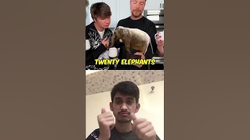 Reaction series PT-32 #reacts #signlanguage #shorts