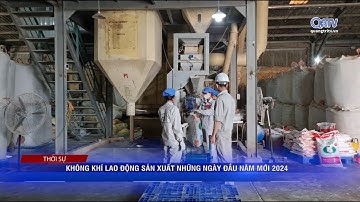 Không khí lao động sản xuất những ngày đầu năm mới 2024 | Truyền Hình Quảng Trị