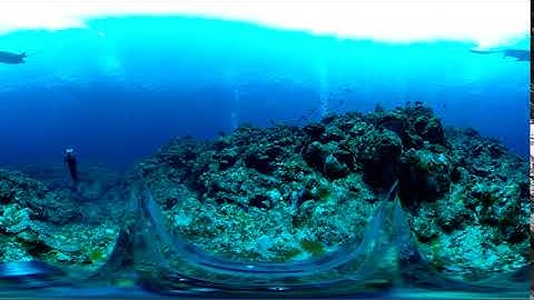 RICOH THETA V - 4K & 360° Spatial Audio Sample (Underwater)