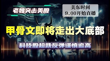 美股直播｜甲骨文即将走出大底部，科技股超跌反弹谨慎追高。#美股 #英伟达 #甲骨文 #英特尔 #特斯拉 #soun #苹果 #投資   #美国超微公司 #crcl  #amd