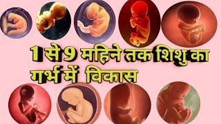 पेट में बच्चा कैसे बनता है! 1 to 9 month baby growth during pregnancy/#ayurvedaforyou