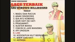 Madu dan Racun ( Ari Wibowo )