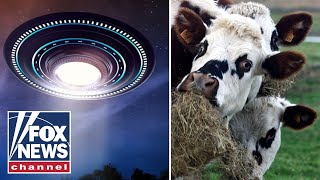 Something strange is going on in Texas: UFO investigator