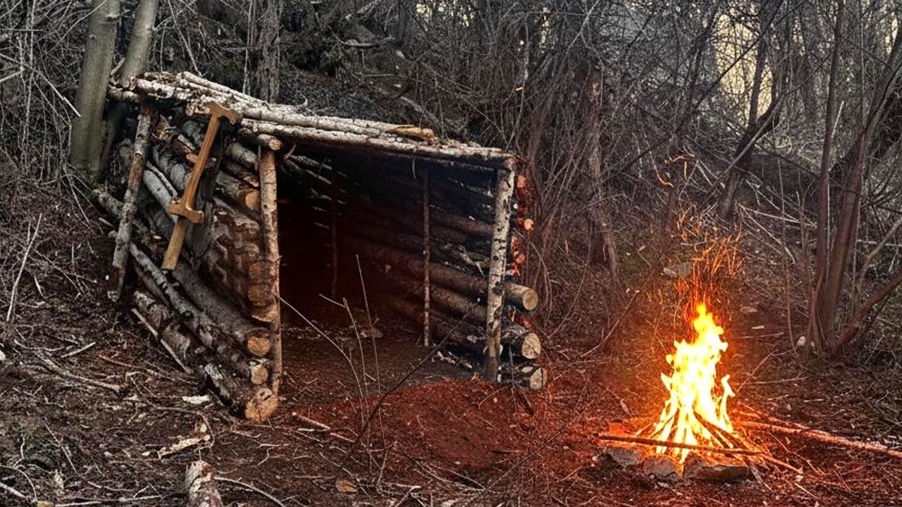Building a shelter alone in the forest Solo Bushcraft - YouTube
