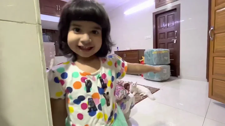 Video 522531: persian cat, cat white color, kitten