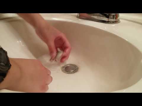How To Force Feed a Frog  Or  Toad *Only Emergencys*