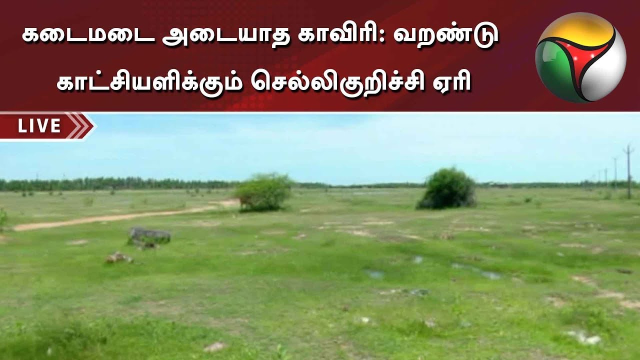 live tamil news 7 tv channels கடைமடை அடையாத காவிரி: வறண்டு காட்சியளிக்கும் செல்லிகுறிச்சி ஏரி | Cauvery | Thanjavur