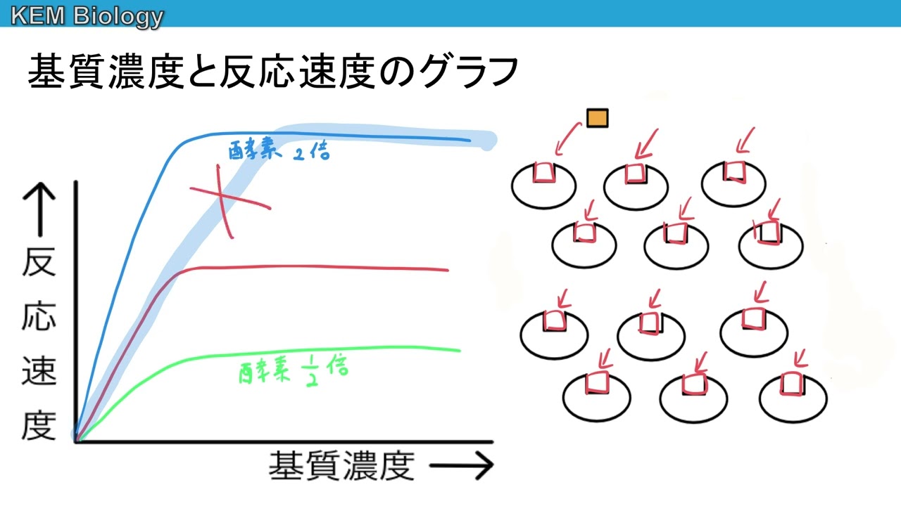  Apple、iTunes のプレビュー曲の長さを 2 倍にする?