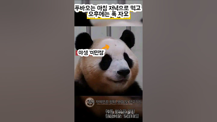 5월 15일, 푸바오 최신 근황 (중국 공식 영상) , 야생 미인점이 뭐예요?