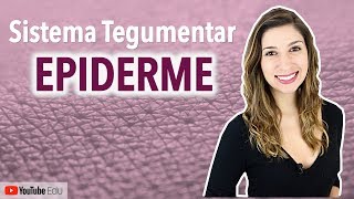 Epiderme: Sistema Tegumentar 2/4 | Anatomia etc