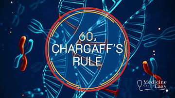 Genetics in 60 seconds: Chargaff
