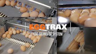 EggTrax Egg Transfer System