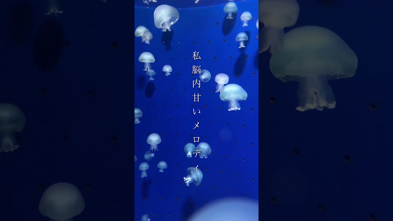 可愛くて鬱な歌詞できた 「霊ting for you」 #ボカロ #vocaloid #オリジナル曲