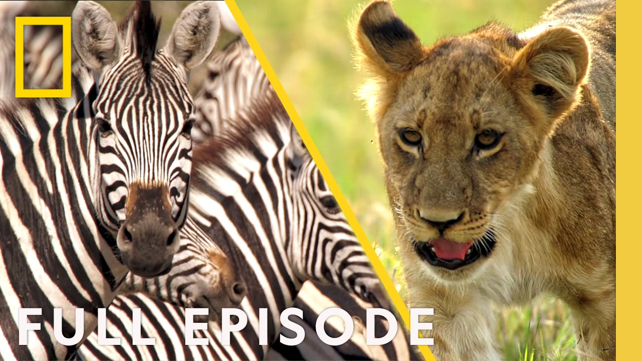 Young Blood (Full Episode) | Botswana | Nat Geo Animals