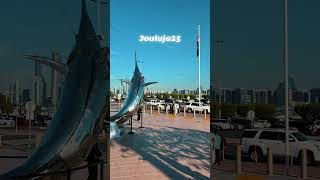 Joulu 2025. #ajman #abudhabi #dubai #sharjah #uae
