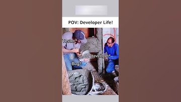 universal Problem Bugs 🤣 #bugs #error #developer #developermemes #coding #coderlife #developerlife