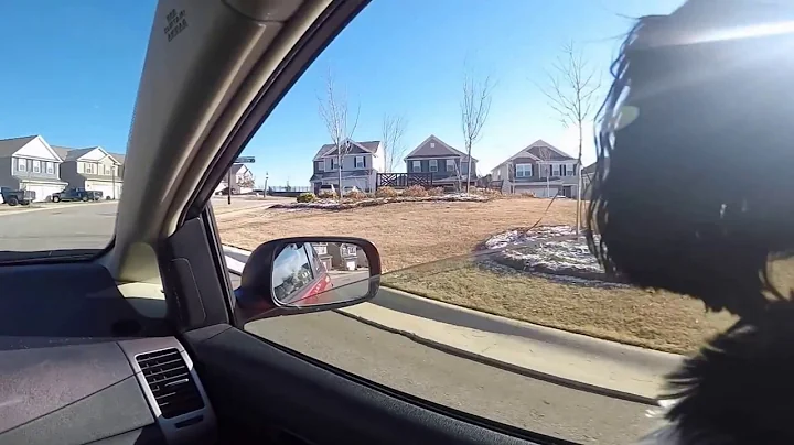 Bella doing an HOA Inspection of Waterside