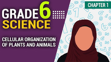 Cellular Organizations | Chapter 1 | Science | Grade 6