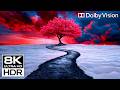 The OLED Killer 8K HDR Dolby Vision at 120 fps (8K / 4K Video TV TEST)