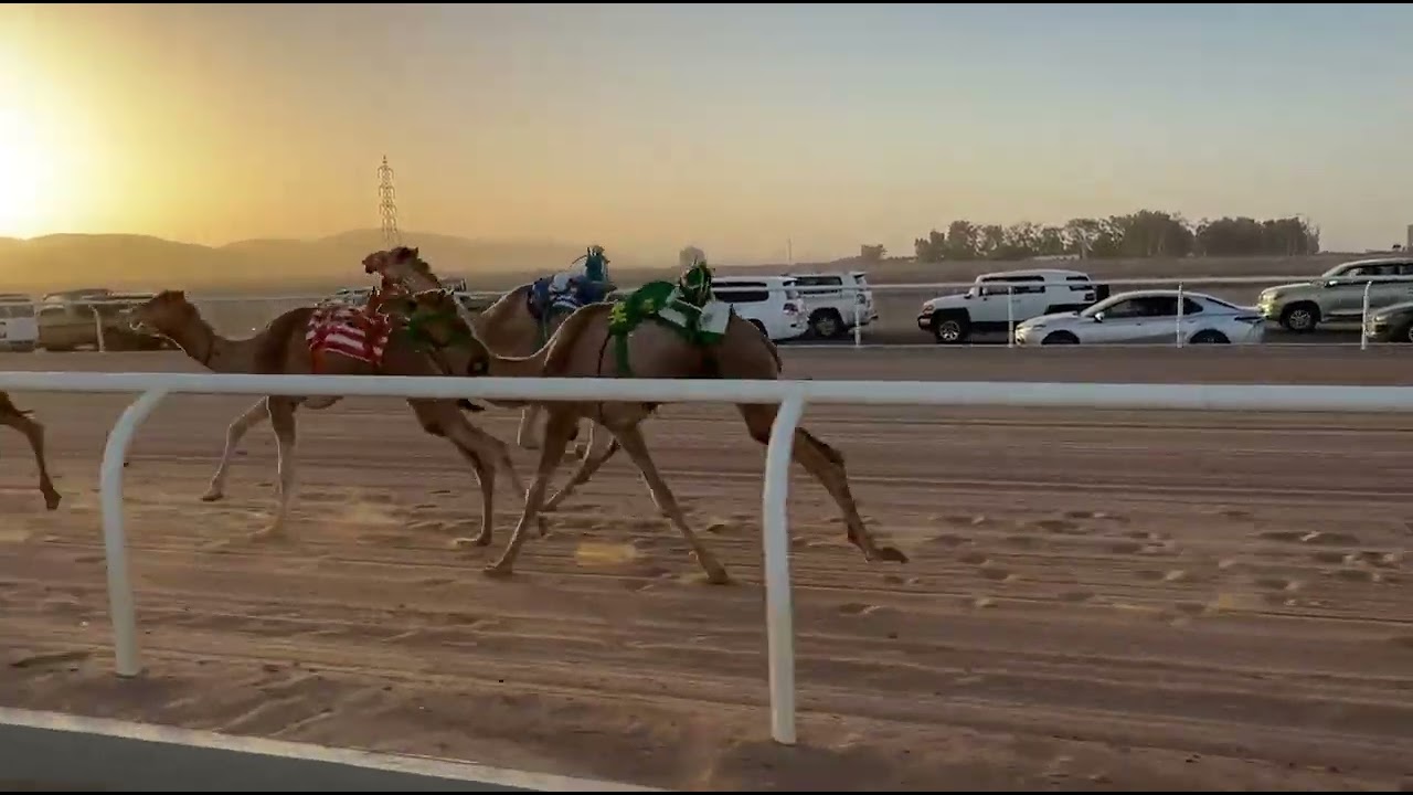 الشوط الاول | بكار حقايق رئيسي | نوادر | مقبول بن عيد العمراني | 6:30:79