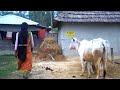 Visit Rural Nepal || EP - 56 || Saptari , Rural Nepal ||