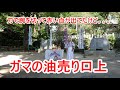 ガマの油売り口上 観光名物 筑波山観光