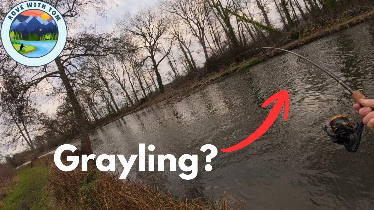 Испытание реки - Рыбалка в Тимсбери