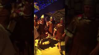 IMG 2411