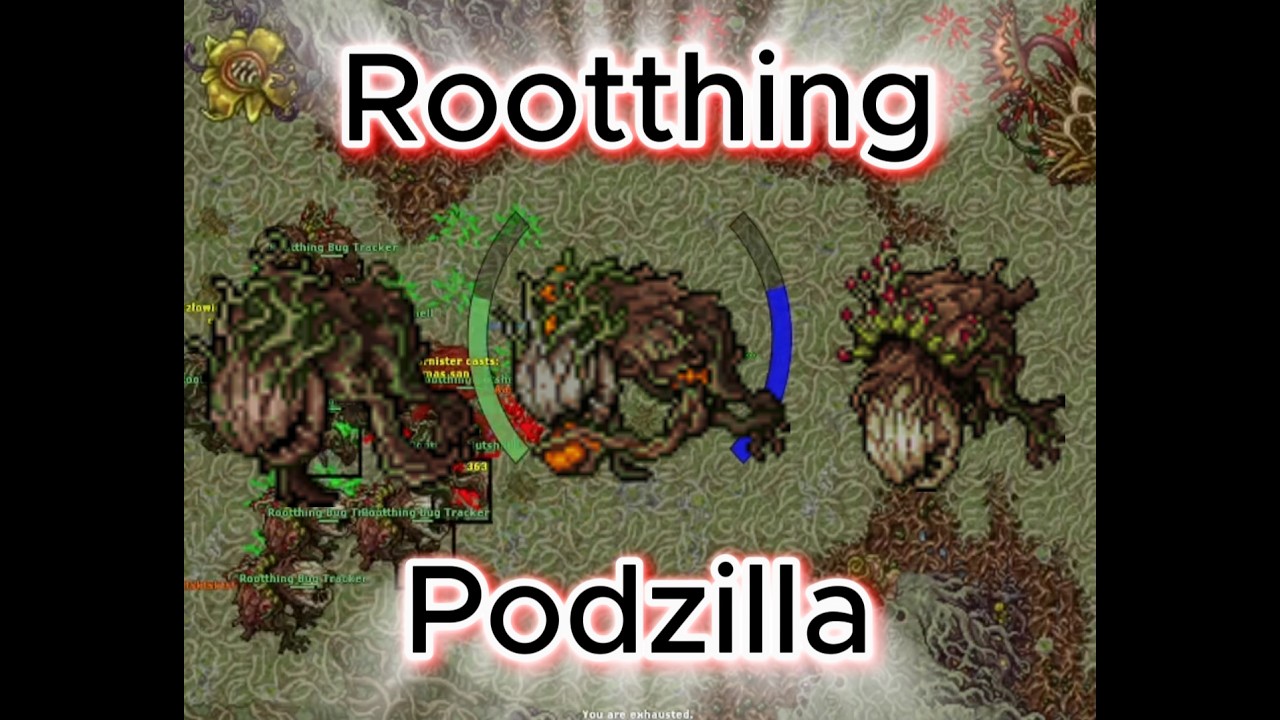 Tibia Podzilla Tibia Full Th Rootthing Podzilla ( rp vision ) 14,5kk raw/h - YouTube