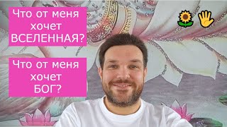 🤔🌻 Как узнать ЧТО ОТ МЕНЯ ХОЧЕТ ВСЕЛЕННАЯ и ЧТО ХОЧЕТ БОГ???