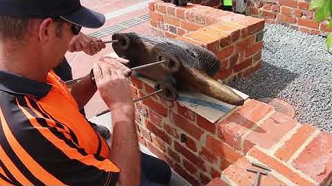 Installing the echidnas