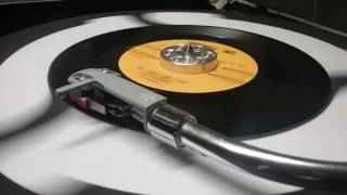 The Five Masters We Are Like Onebumble Bee 502