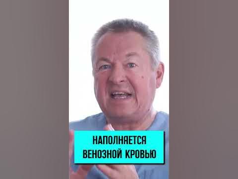 Что такое эрекция? #shorts - YouTube