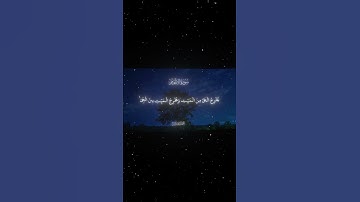 سورة الأنعام|95|القارئ:#محمد_اللحيدان #قران #quran #راحة_نفسية #قران_كريم #تلاوة_هادئة #تلاوة_خاشعة