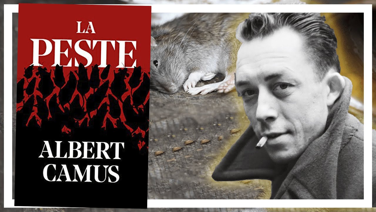 🐀 La PESTE de Albert Camus 🤔 \ 🎙️ Video estilo PODCAST 🎙️ - YouTube