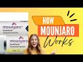 Mounjaro: The Weight Loss Drug Changing How We Eat (and Enjoy!) Food