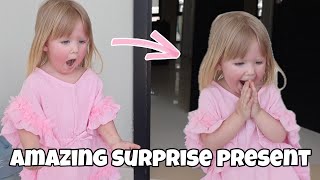 An AMAZING Surprise Present For Aurora!