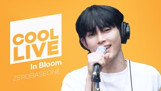 쿨룩 LIVE ▷ ZEROBASEONE(제로베이스원) 'In Bloom' 라이브 / [데이식스의 키스 더 라디오] I KBS 230726 방송
