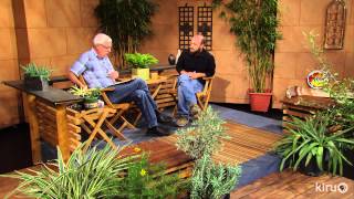Central Texas Gardener | Fall into perennials | 10.05.13