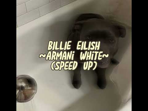 BILLIE EILISH ~Armani White~(speed up)