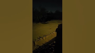 The orchards remind me of being freshly in high school, barely learning to navigate life. #skoolie