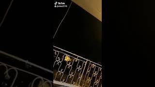 Şahan Ailesi Tiktok Vicdan Be Adam