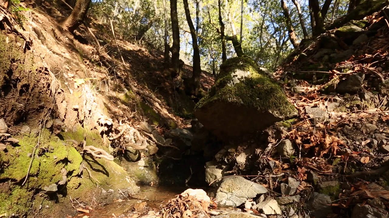 Sugarloaf Ridge State Park