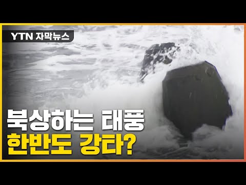 자막뉴스 12호 태풍 무이파 한반도 영향은 YTN 